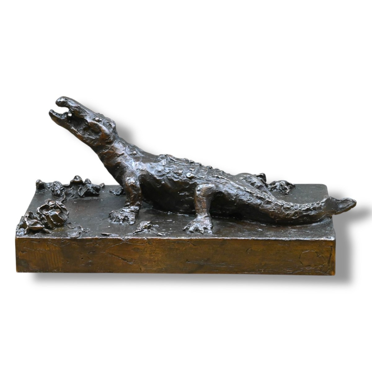 Emilio Bisi - Coccodrillo in Bronzo - Italia Fine XIX Secolo-photo-3
